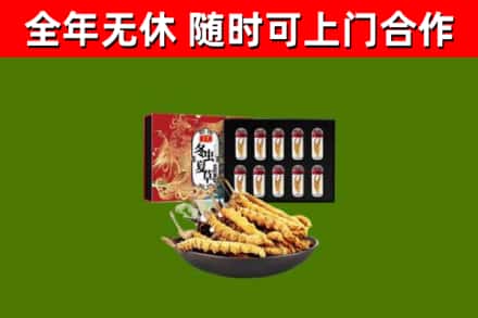 桐城回收冬虫夏草价格